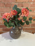 BLOOMS